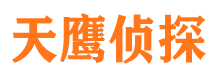 麟游寻人公司